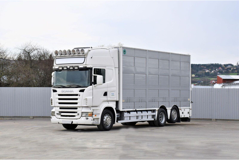 Scania R 500 - Грузовик для перевозки животных: фото 1 Scania R 500 - Грузовик для перевозки животных: фото 1