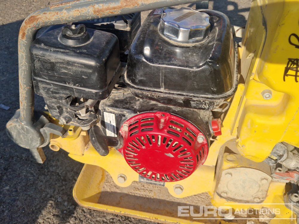 Wacker Neuson VP1135AW - Виброплита: фото 5 Wacker Neuson VP1135AW - Виброплита: фото 5