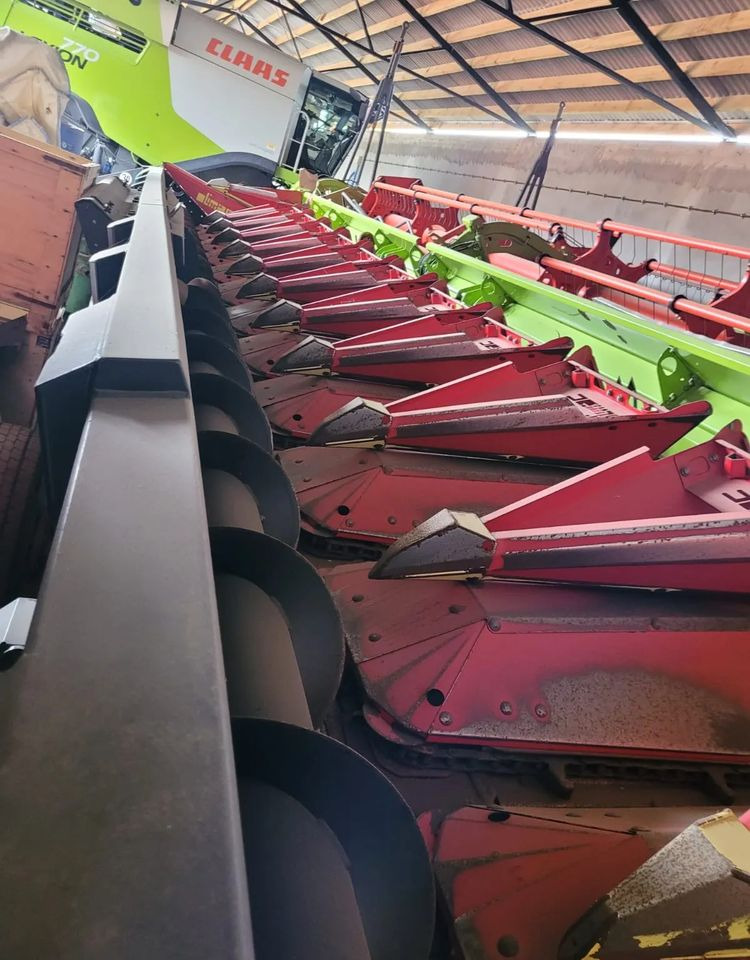 Olimac Drago II - Жатка кукурузная: фото 2 Olimac Drago II - Жатка кукурузная: фото 2