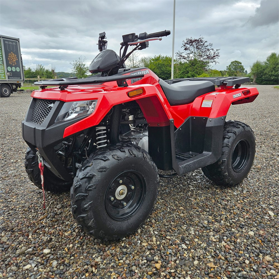 Arctic Cat Alterra 300 - Квадроцикл: фото 1 Arctic Cat Alterra 300 - Квадроцикл: фото 1