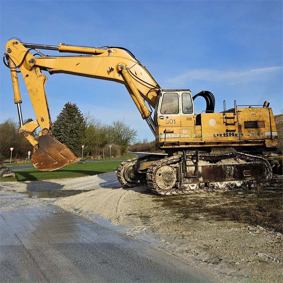 Liebherr R984 - Гусеничный экскаватор: фото 2 Liebherr R984 - Гусеничный экскаватор: фото 2