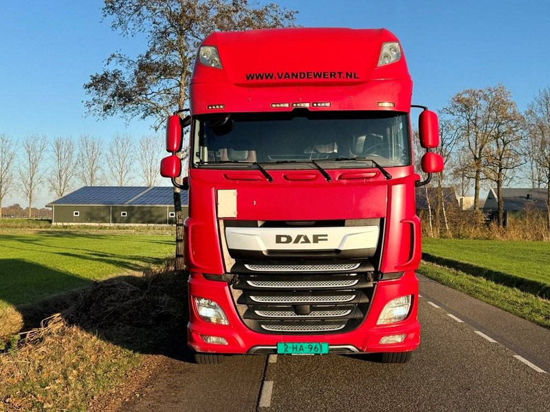 DAF XF530 - Грузовик-шасси: фото 3 DAF XF530 - Грузовик-шасси: фото 3