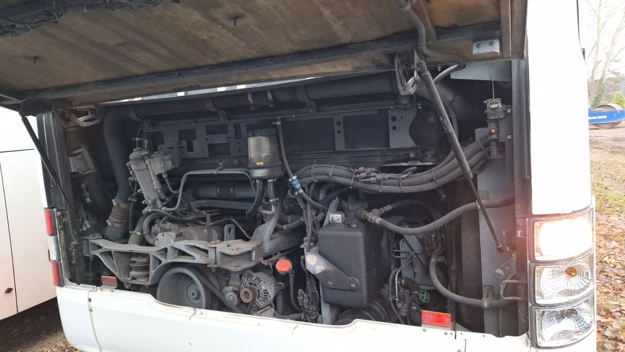 MAN A21 A20/Citaro - Городской автобус: фото 5 MAN A21 A20/Citaro - Городской автобус: фото 5