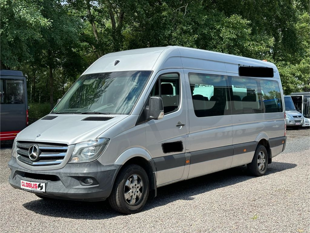 Микроавтобус, Пассажирский фургон Mercedes-Benz Sprinter 313 CDi Transfer 34 LL (513 CDi*Klima): фото 1