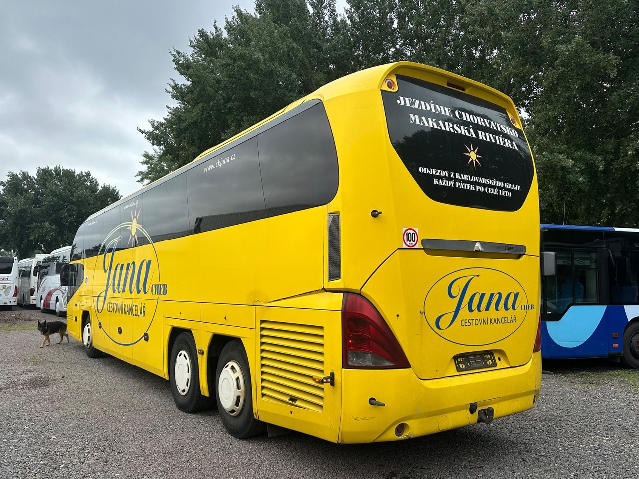 Neoplan P15 Cityliner Euro4*55 Sitze - Туристический автобус: фото 2 Neoplan P15 Cityliner Euro4*55 Sitze - Туристический автобус: фото 2